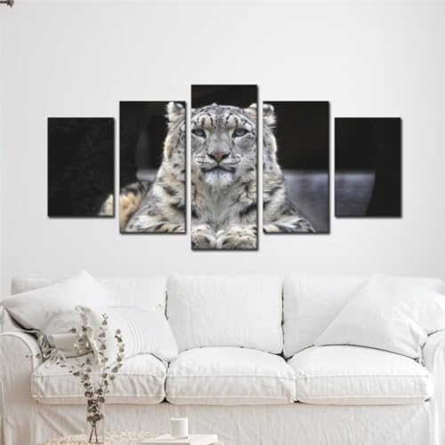 Peinture Diamant Adulte Tigre Blanc pour sublimer le design de votre salon contemporain