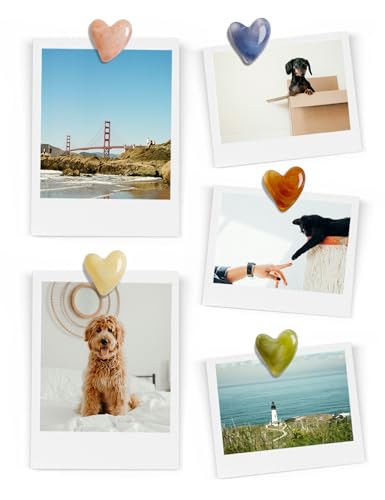 image for Mymazn 12Pcs Fridge Magnets Cute Refrigerator Magnet, Colorful Magnets