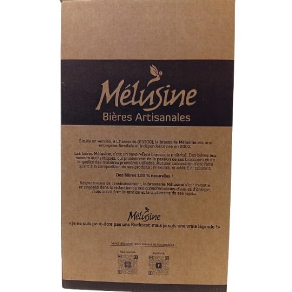 Coffret Dégustation Bière Vendée 75cl Mélusine Golden Ale Artisanale + 2 verres a pied 25cl-33cl