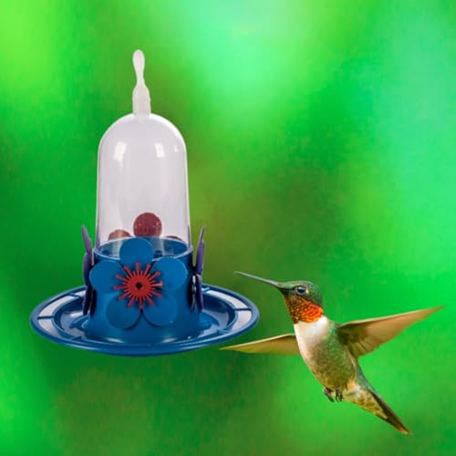 KIT 2 peças Bebedouro Beija Flor com Bandeja e poleiro 250ml - Ideal para Jardins, Atrai Pássaros, A
