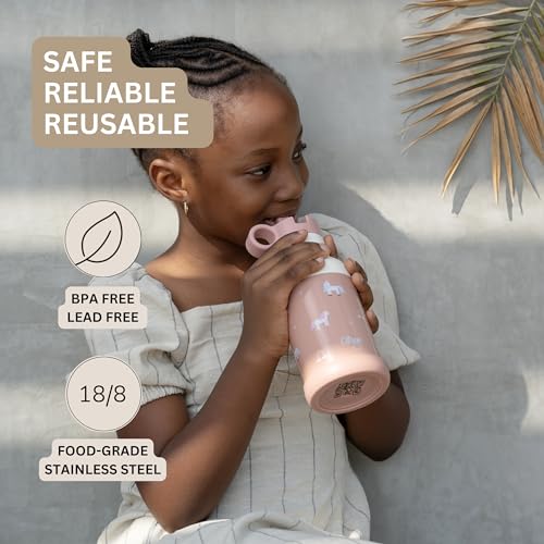 Citron Stainless Steel Insulated Water Bottle Kids 350ml, BPA & Lead-Free, Vacuum Seal Leak Proof Straw Lid - Image 3