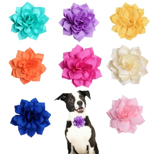 Lopsity 8PCS ybgJ[ t[{EJ[ (8F-X^C1)