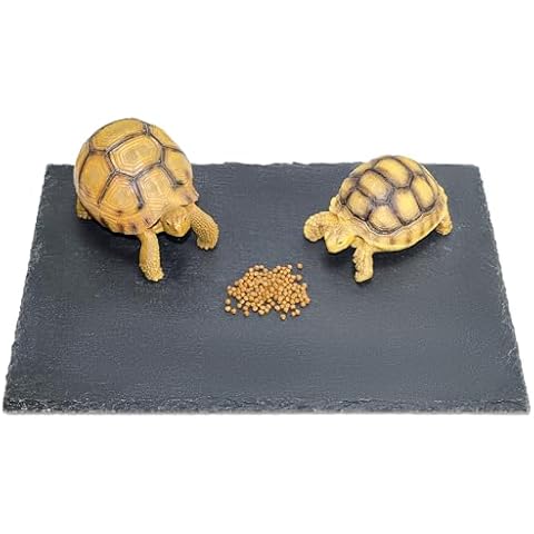 BINANO Tortoise Habitat basking Rock Feeding Dish Bearded Dragon/Lizard Original Rock Slab,Easy to Grind The Nails,with Non-Slip mats,Natural Food Bowl,Moisturizing Effect(Large- Size) Cover