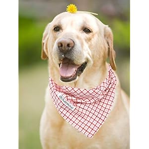 Plaid Dog Bandana, Comfortable Cotton Dog Bandanas Boy Girl Triangle Bid Scarf for Medium Large Dog Plaid Dog Bandana, Comfortable Cotton Dog Bandanas Boy Girl Triangle Bid Scarf for Medium Large Dog