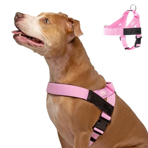 Dog Friendly Co. Dog Harness | Chafe Resistant Webbing Adjustable Neck & Chest and Heavy Duty D-Ring | Sturdy Comfortable Easy to Use | Pink Size L