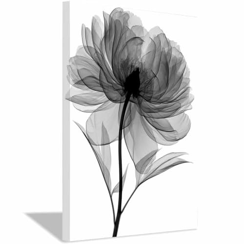 Tableau toile XENIOU photo noir et blanc premium imprimé floral rayons X encadrée