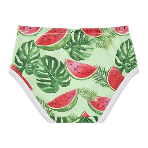 Wusikd Tropical Leaves Girls' Underwear Cotton Watermelon Girls Briefs Soft Toddler Underwear 2T2