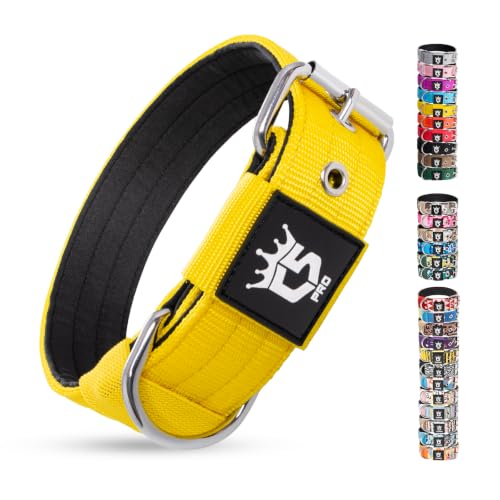 TSPRO Collar Táctico para Perros, Acolchado, Ancho 3,8 cm, Ajustable