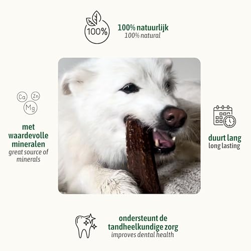 ChronoBalance® XL Kaustange für Hunde ganze Stücke als Kauspielzeug: 100% Hirschgeweih für Hunde, Hundespielzeug, Leckerli Zahnpflege, Kausnack, Geweih Kauknochen, Natürlich ohne Zusätze (1er Set)