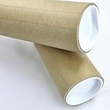 F.Lupinski Versandrolle 20-118 cm, deutsches Produkt, DIKWANGIGE Pappröhre mit Deckel für grafische Inhalte und Druckprodukte, sorgt für stabile Form (60 cm, 2 x 60x7,6cm bis DIN A2)