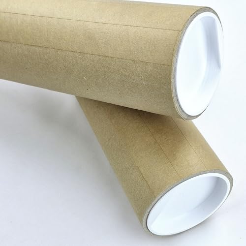 Rouleau d'expédition extra résistant avec couvercle - Pour affiches, affiches, documents, dessins et matériel de bricolage - Longueurs 20-100 cm - Produit allemand (60 cm, 2 x 60 x 7,6 cm jusqu'à DIN