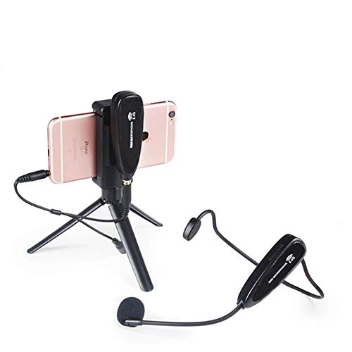 D-100 2,4 GHz Wireless Audio Mikrofon Lavalier Headset Mikrofon mit Stativ Ständer für Kamera Video Handy (Headset)