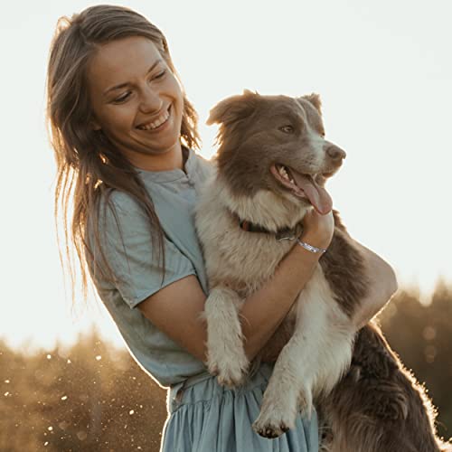 Alebee Dog Memorial Bracelets Sympathy Gifts For Loss Dog In Loving Memory For Loss Of Pet Dog Cat Cuff Bangle Once By My Side Forever In My Heart Pet Sympathy Gifts #TOP4