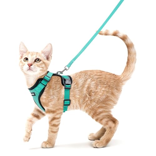 Image of rabbitgoo Cat Harness and Leash Set, Escape Proof Vest, Emerald | Soft Breathable Mesh, Easy Adjustable Fit, Snap Buckles, Sturdy Clip, Reflective Strips, for Average Cats Walks, S