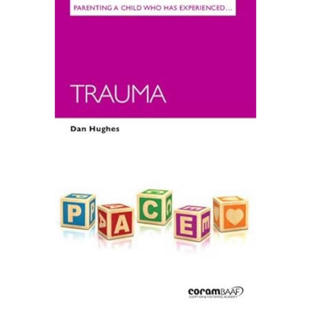 Parenting A Child Who Has Experienced Trauma by Dan Hughes (Paperback Book)