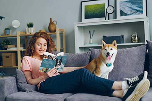 The Woof Whisperer Small Anti Bark Dog Collar STOP BARKING No Shock Vibration Sound Training Collar HUMANE & SAFE Automatic Anti-Bark Barking Deterrent Device - Image 10