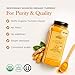 HQOExpress Organic Ground Turmeric Powder – USDA Organic, Non‑GMO, Kosher, Lab Tested –Chef Jar (18 oz) – Sustainably Grown, Traceable, Legacy Brand Since 1977