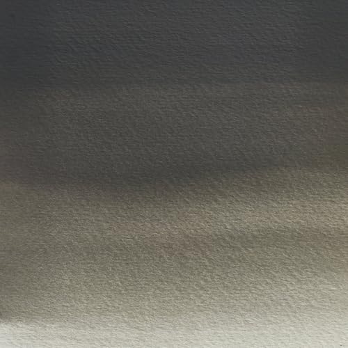 Image of Winsor & Newton Professional Watercolour 5 ml 428 Ostwald Grey Series 1