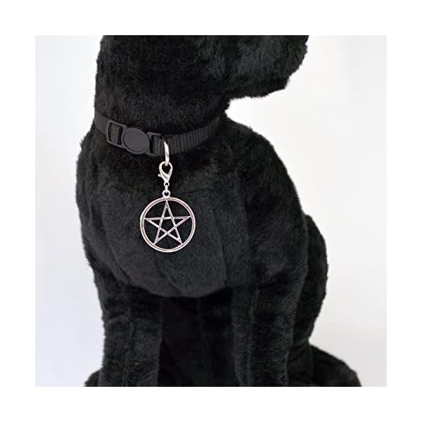 Black cat collar with wiccan pagan pentacle silver finish on safety breakaway collar adjustable neck size 8 to 12 inches - image 4
