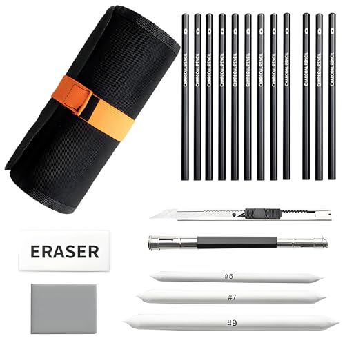 Image of DaKos 38 Pieces Professional Sketching & Drawing Art Tool Kit - Drawing Pencil Set, Shading Pencil Set for Artists, Perfect Sketching Kit of Charcol Pencil with Rolling Pouch (MFP1230)
