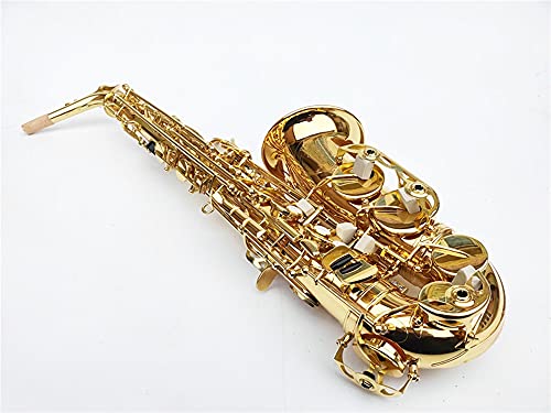 TbNX Zbg vtFbVi Ag hbv E TbNX S[h Ag TbNX }EXs[X [h AObg w TbNX (J[ : ubN)