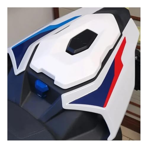 Carénage arrière de précision et capot de selle pour M1000R