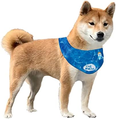 chilli paws cooling collar