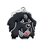My Family Mèdaille de chien Made in Italy, Terre-Neuve, Collection Friends, 34x38 mm
