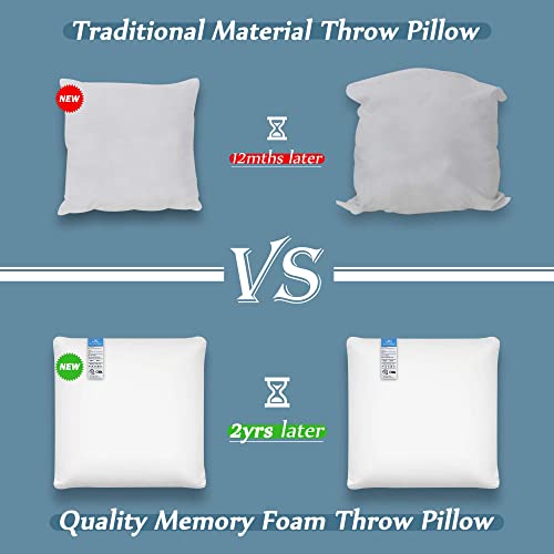 Am Aeromax 16 ×16 Pillow Insert (Pack Of 2) Memory Foam Throw Pillow Insert Sham Square For Decorative Cushion Bed Couch Sofa Without Deform After Longtime Use thumb #3