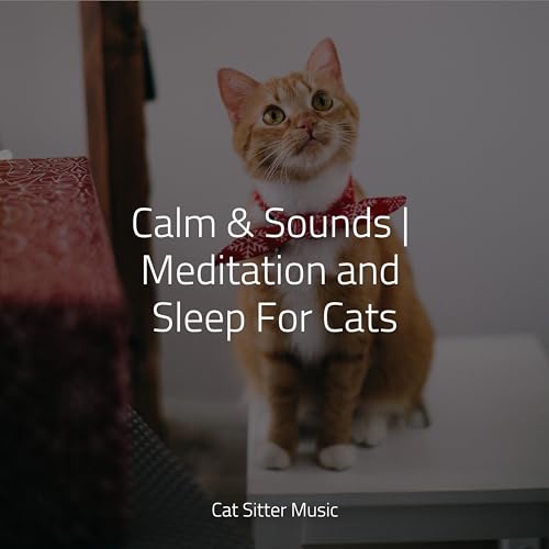 Riproduci Calm & Sounds | Meditation and Sleep For Cats di Music For ...