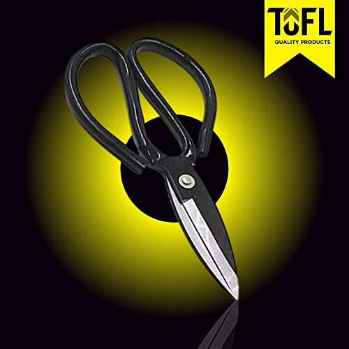 Tofl 3/4" Wide Tan Genuine Leather Strap And Leather Craft Scissors #TOP7