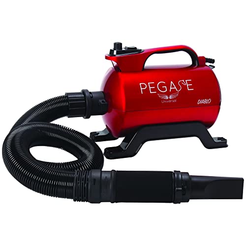 Phoenix Séchoir Rouge Diablo pour Chien 2800 W