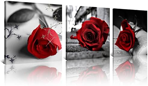 NAN Wind Canvas Print 3 Pcs Black and White Red Rose Canvas Art Painting Abstract Wall Art Decorations Flower Picture on Canvas for Home Decor Stretched and Framed