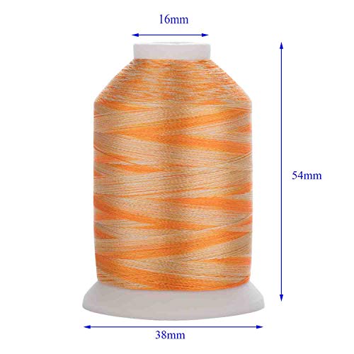 Simthreads 12 Variegated Colors Embroidery Machine Thread 1100 Yards Each For Janome Brother Pfaff Babylock Singer Bernina Husqvaran And Most Sewing Embroidery Machines #TOP2