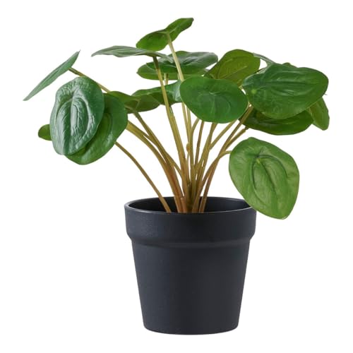 Epikasa Planta artificial Pilea, plástico PE, verde, 28 x 28 x 28 cm