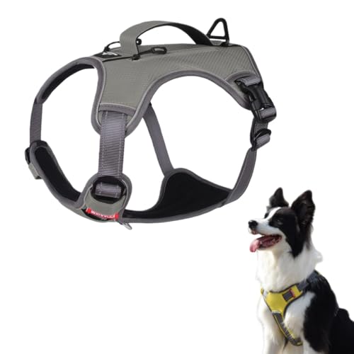 RoastMe ����^���p ���@�\���n�[�l�X�o�b�O �h���ގ� ���˃X�g���b�v �T�C�Y���߉� �w�����郊���b�N�t�� �U�� �h�b�O�����Ή� (M,�O���[)