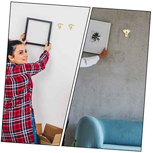 Image of Hemoton 12pcs Picture Hangers 100 lbs- Picture Hanging Nails- Picture Hanging Hooks- Hanging Hardware for Clock, Mirror, House Decoration