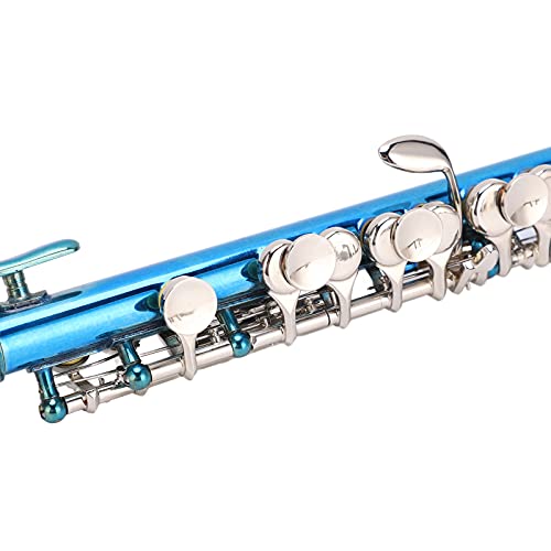 Buying Guide NDNCZDHC Piccolo Instrument for Beginners Key of E