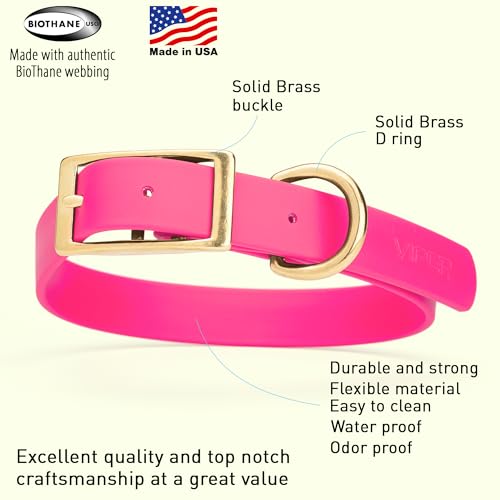 Image of Viper Biothane Heavy Duty Waterproof Dog Collar Strong Coated Nylon Webbing w /Solid Brass Hardware Odor-Proof Easy to Clean High Performance Fits Small Medium or Large Dogs, Passionfruit Pink