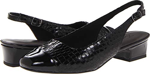 Image of Trotters