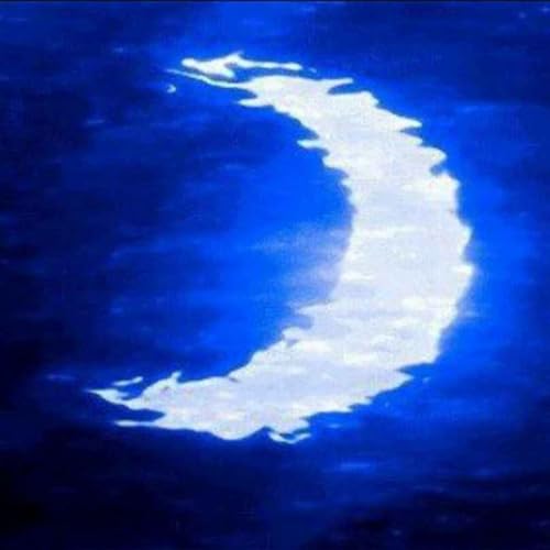 beautiful feelings cover art