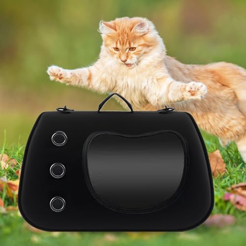 Solution de transport légère pour promenade avec chien et chat à l'épaule