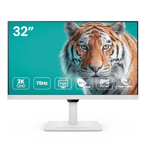 Amazon.co.jp: BenQ GW3290QT 31.5インチ IPS 2k QHDモニター| USB-C