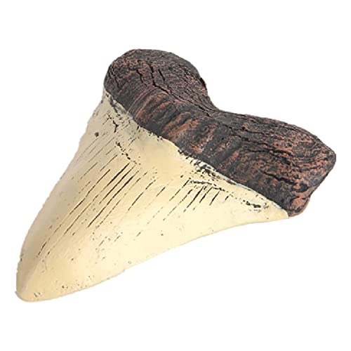 Peowuieu Megalodon Tooth Fossil Riesenhaifischzahn Megalodon Tooth Resin Replica