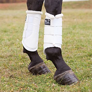 DSB Dressage Sport Boot