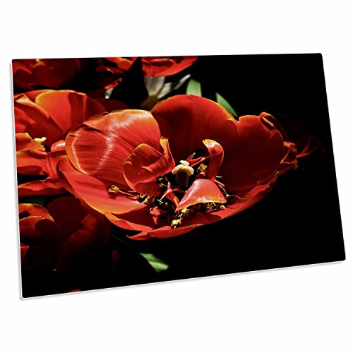 Alfombrilla grande de escritorio 58.4x40.6 cm goma 3dRose miniatura 1