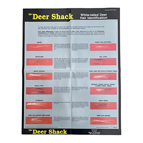 Deer Hair Identification Hunting Information Poster