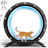 GTRACING Cat Wheels, 40" Diameter, Large Cat Exercise Wheel for Indoor Cats cat Treadmill Metal with Detachable Black Carpet & Teaser/Stickers, Ultra-Quiet Scroll Wheel with Latch, Safe and Stable
