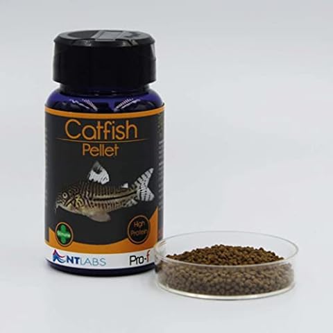 NT Labs Pro-F Catfish Pellet 60g Cover