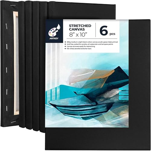 Artkey Black Canvas, 8x10 Inch 6-Pack Stretched Canvases for Painting, ...